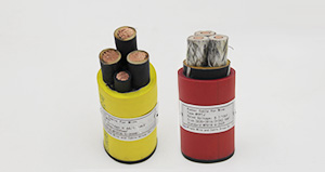 ���׵���