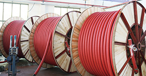 ��Ʒ����